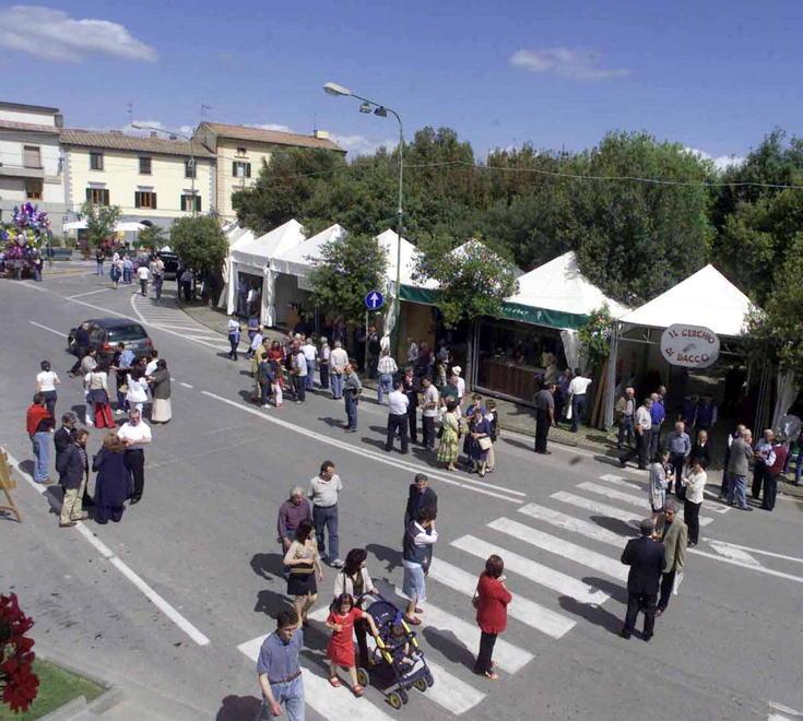 Nuovi impianti sportivi con i risparmi sulle bollette 