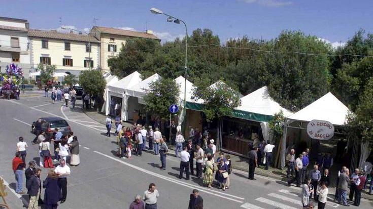 Nuovi impianti sportivi con i risparmi sulle bollette
