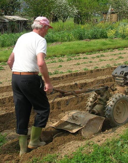 Per l’Imu sui terreni in arrivo il rinvio Slittamento a giugno 