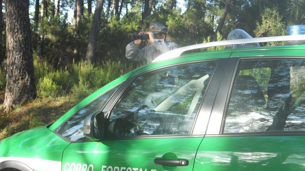 Lacci per catturare gli animali Denunciato anziano bracconiere 