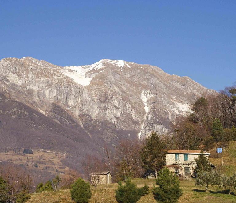 Rinviata l’Imu sui terreni il governo prende tempo 