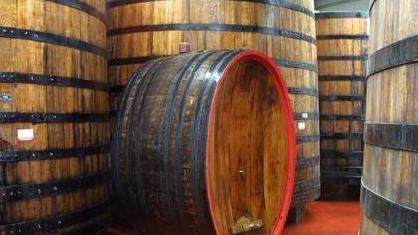 Aceto di vino sequestrato, processo per frode