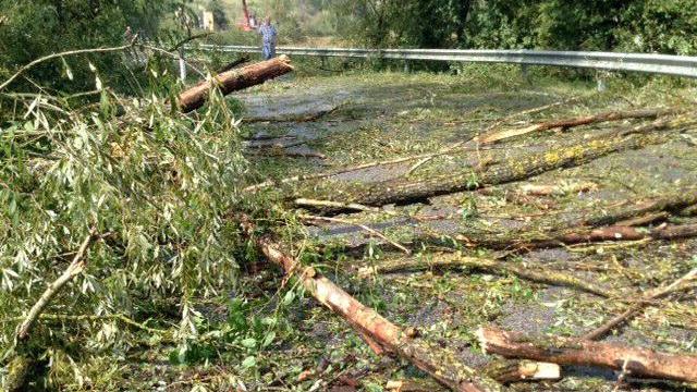 Alberi caduti nel Montalbano per la tromba d'aria del 19 settembre 2014
