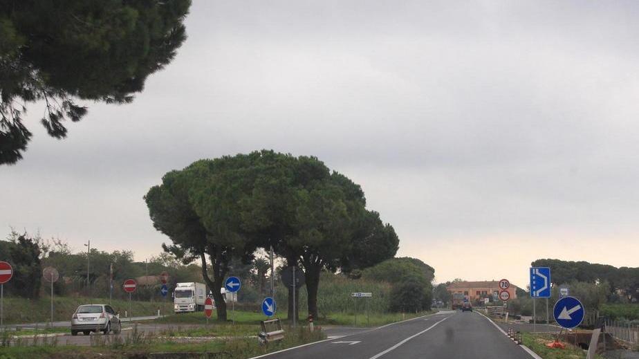 Paffetti: «Basta rinvii, l’Aurelia va messa in sicurezza»