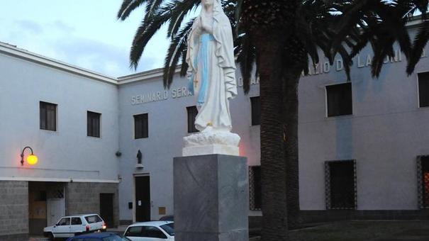 Trova 4 gattini nel cofano motore, i vigili li liberano