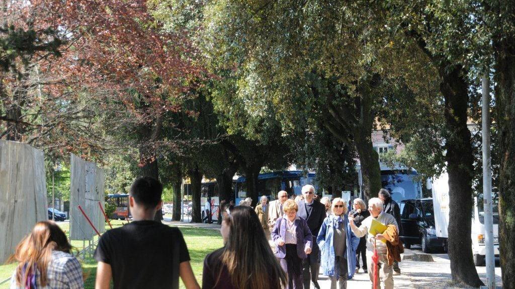 bus turistici a Lucca