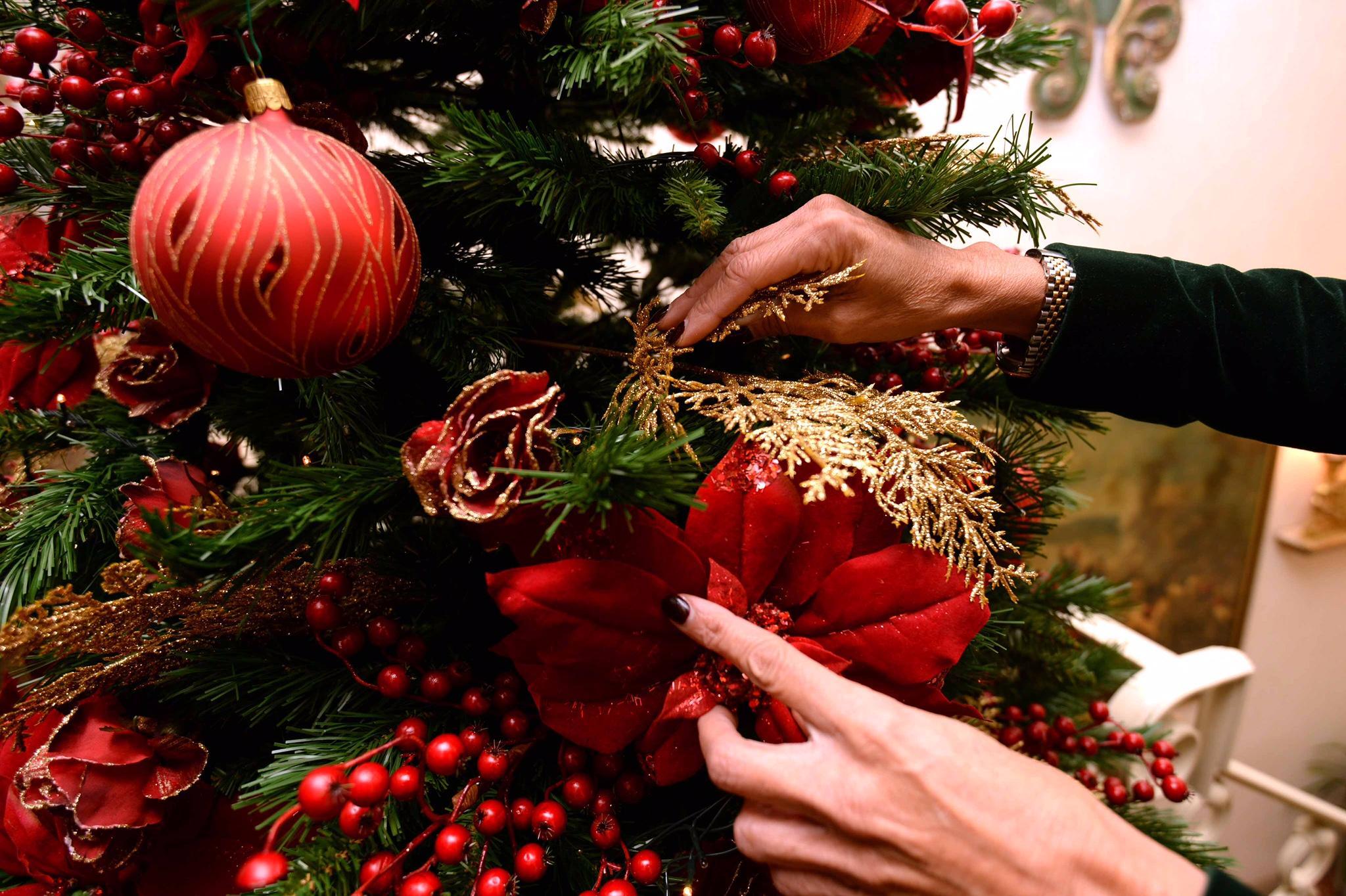 L'albero di Natale più bello? E' il mio, e te lo faccio vedere 
