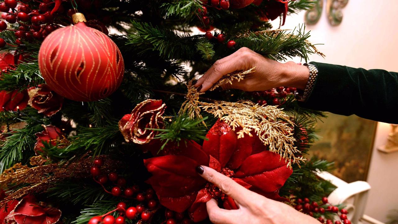 L'albero di Natale più bello? E' il mio, e te lo faccio vedere