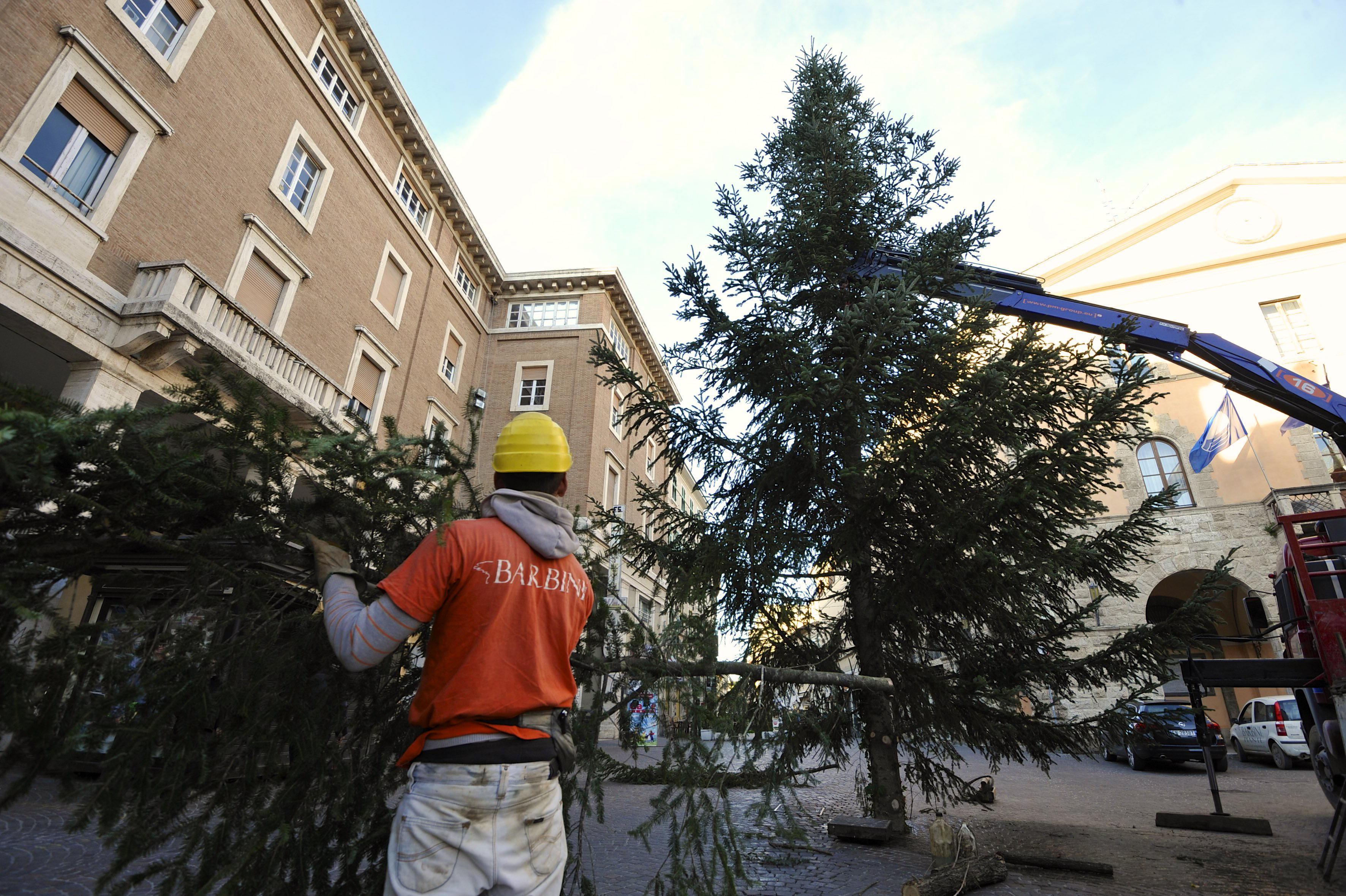 L'albero di Natale in piazza Duomo (foto Agenzia Bf)