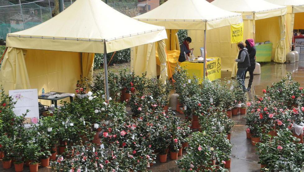 La mostra delle camelie 2015 in tre fine settimana di marzo 
