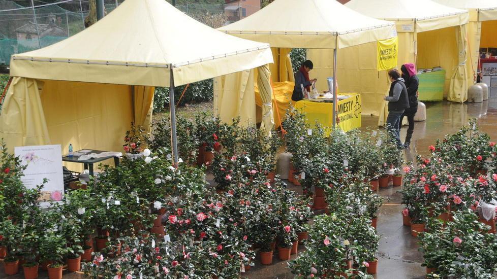 La mostra delle camelie 2015 in tre fine settimana di marzo