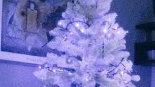 #ilmioalberodinatale: la Gazzetta colleziona le fotografie degli alberi dei modenesi
