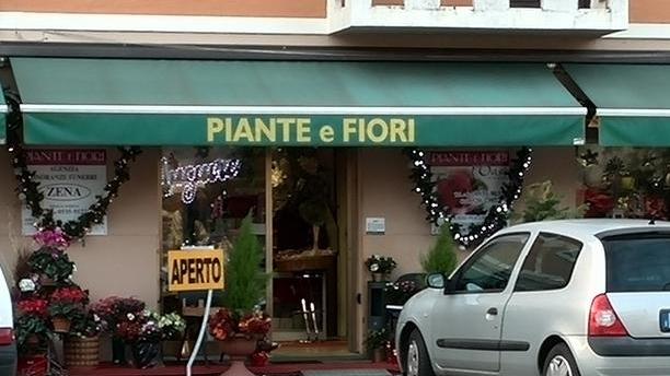 Ladri nei negozi e Massa si ribella