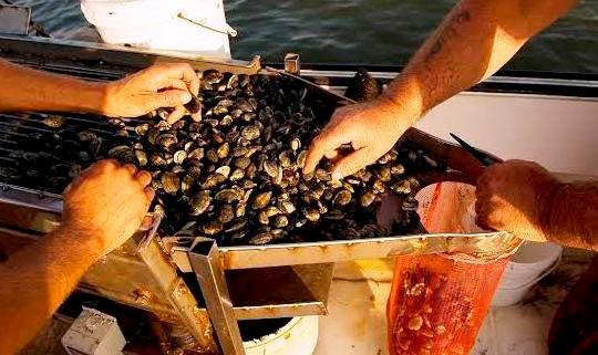 Marchio “Vongola verace”, il convegno