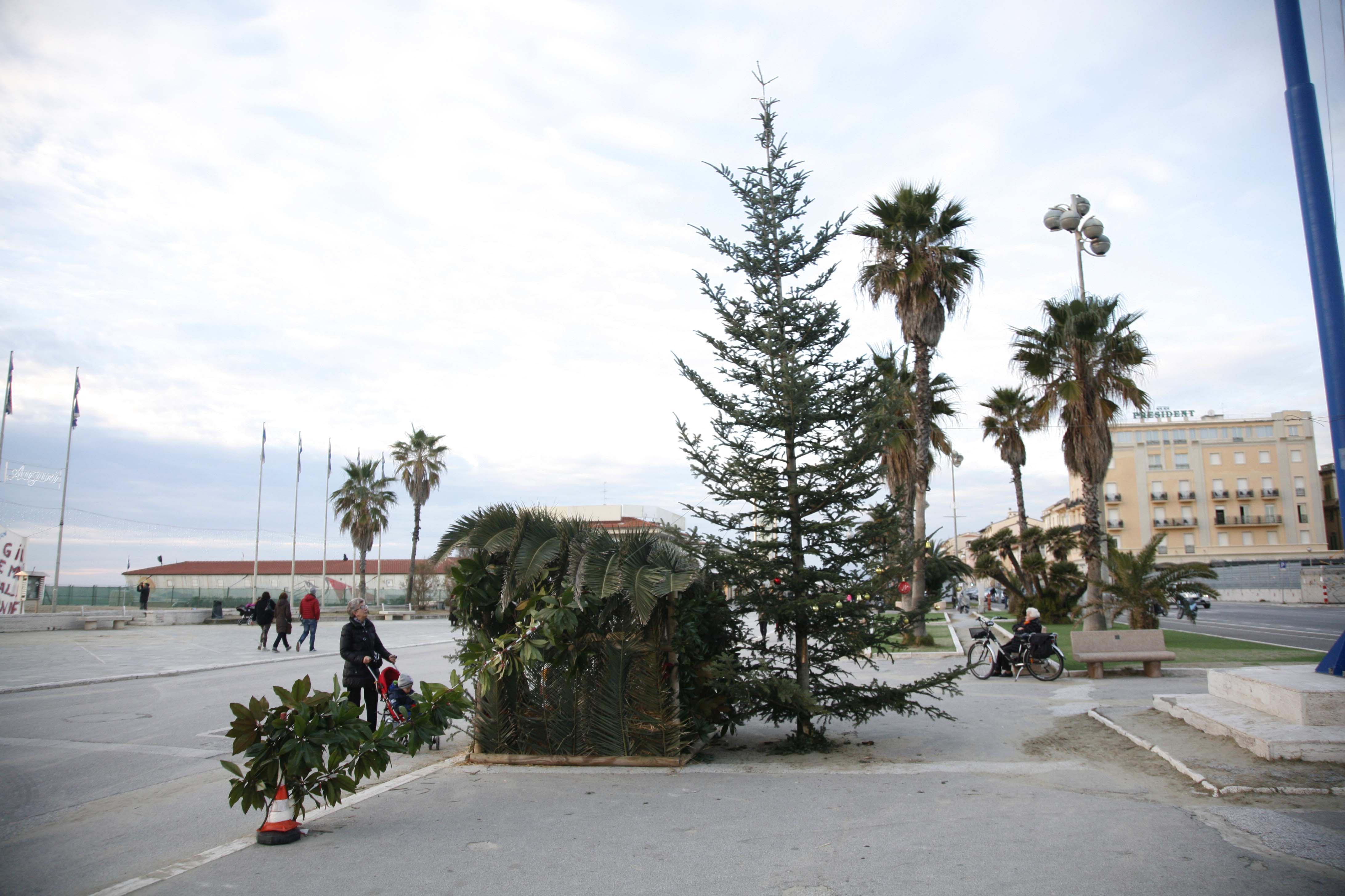 L'albero di Natale in piazza Mazzini