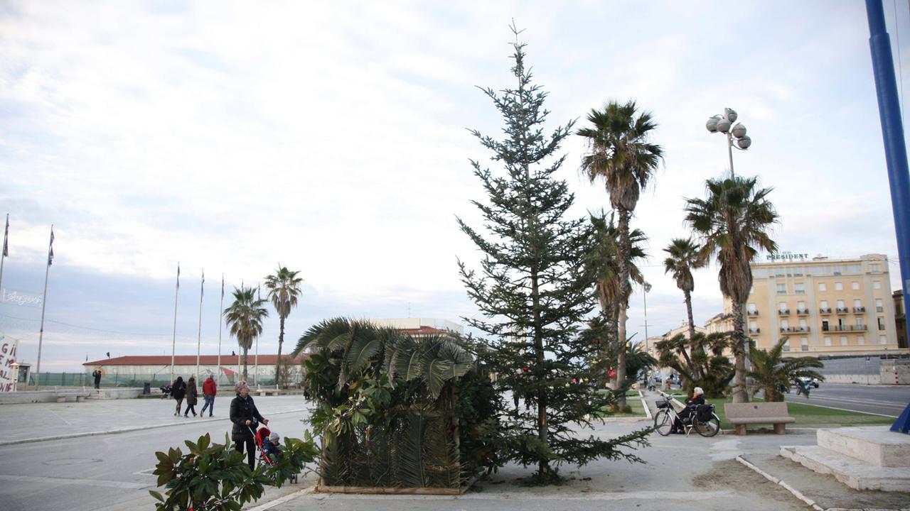 L'albero di Natale in piazza Mazzini