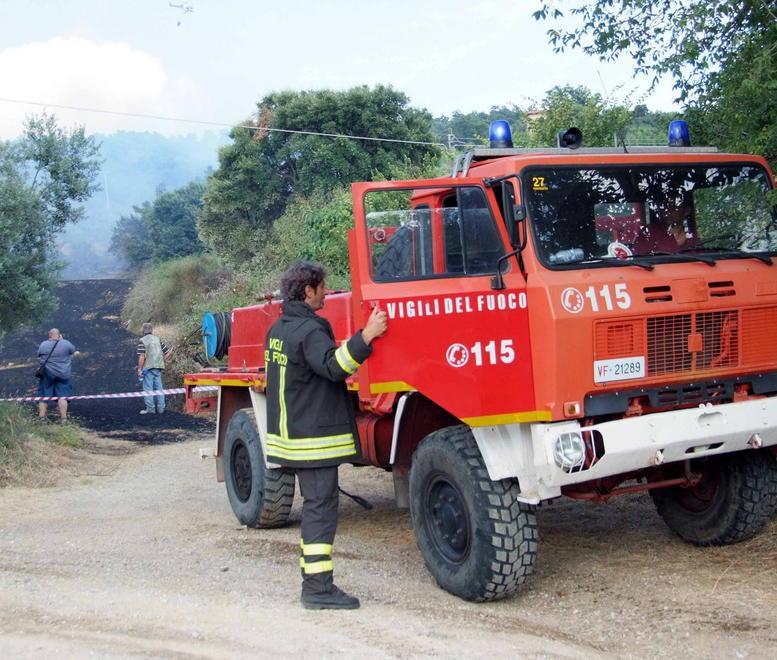 Olivi e vigne in fiamme: a giudizio 
