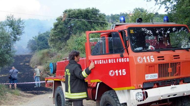 Olivi e vigne in fiamme: a giudizio
