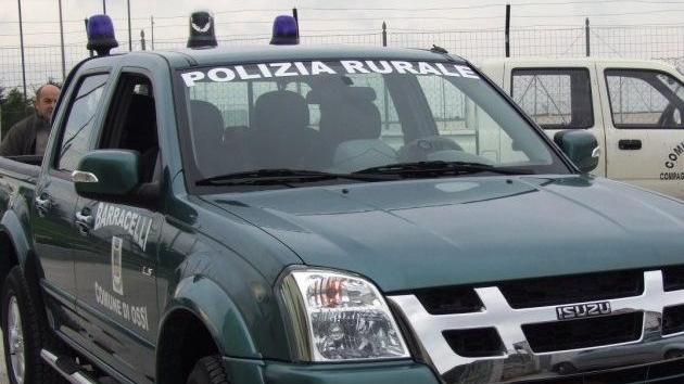Niente soldi per i barracelli, senza custodi cimitero e parchi