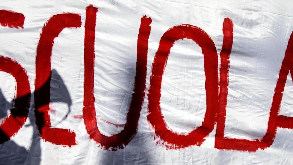 «Ecco com’è la vita grama del precario»
