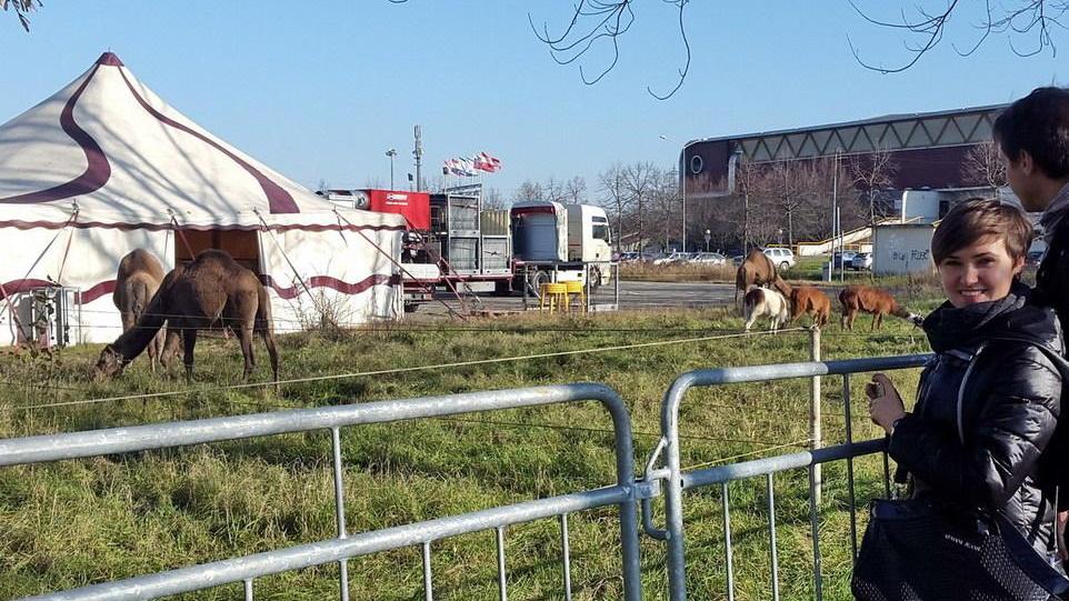 Il circo Millennium sbarca a Modena