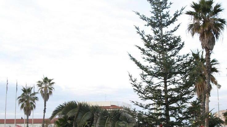 Anche l’albero di Natale tra le vittime del dissesto