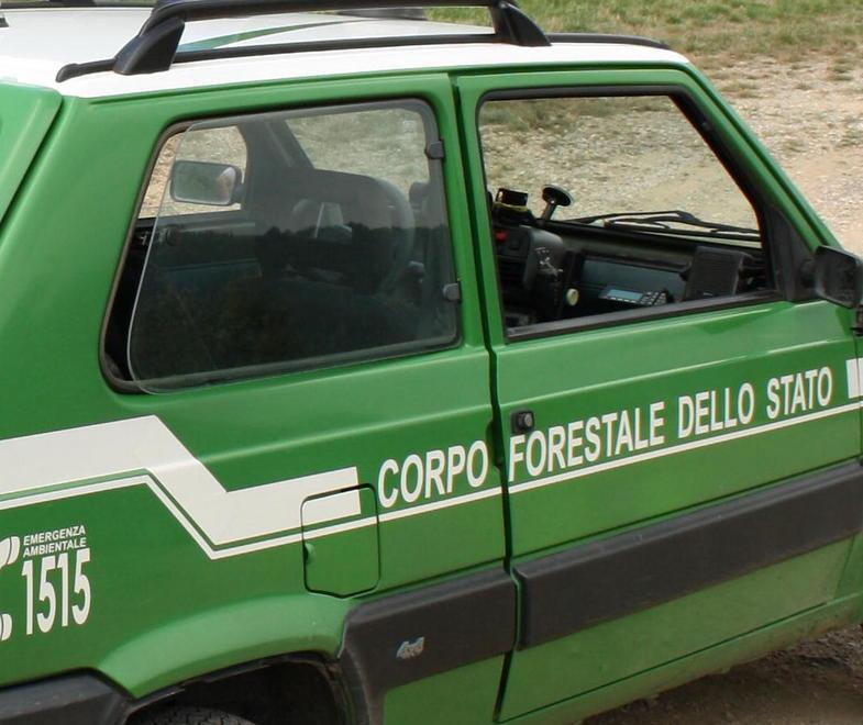Spari fuori orario e richiami fuorilegge: due nei guai