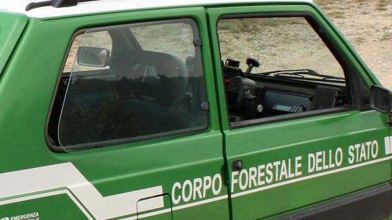 Spari fuori orario e richiami fuorilegge: due nei guai