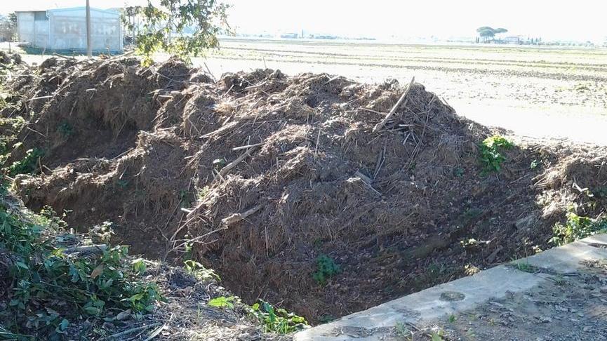 Strada dissestata e con i detriti Scatta la denuncia ai vigili