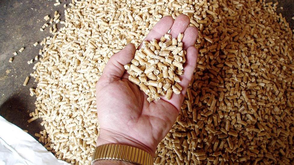 Una fabbrica per produrre pellet