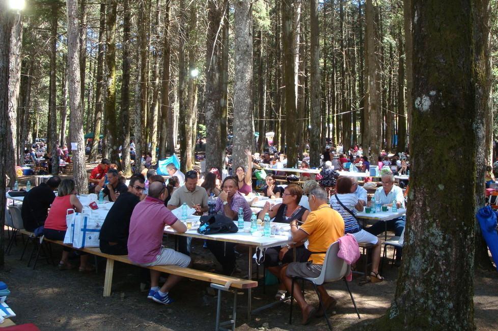 Eventi, il programma del 2015 