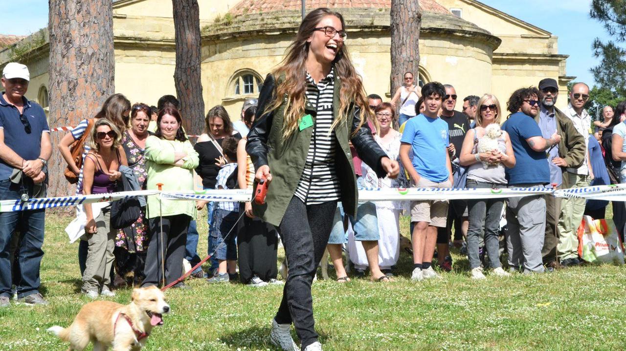 Una mostra canina