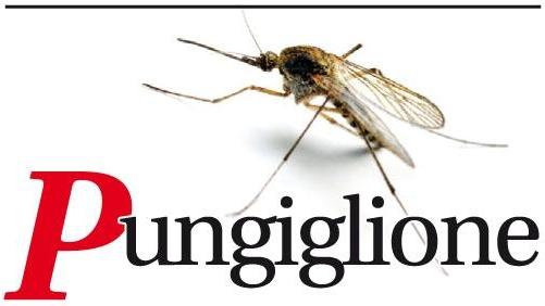 il pungiglione