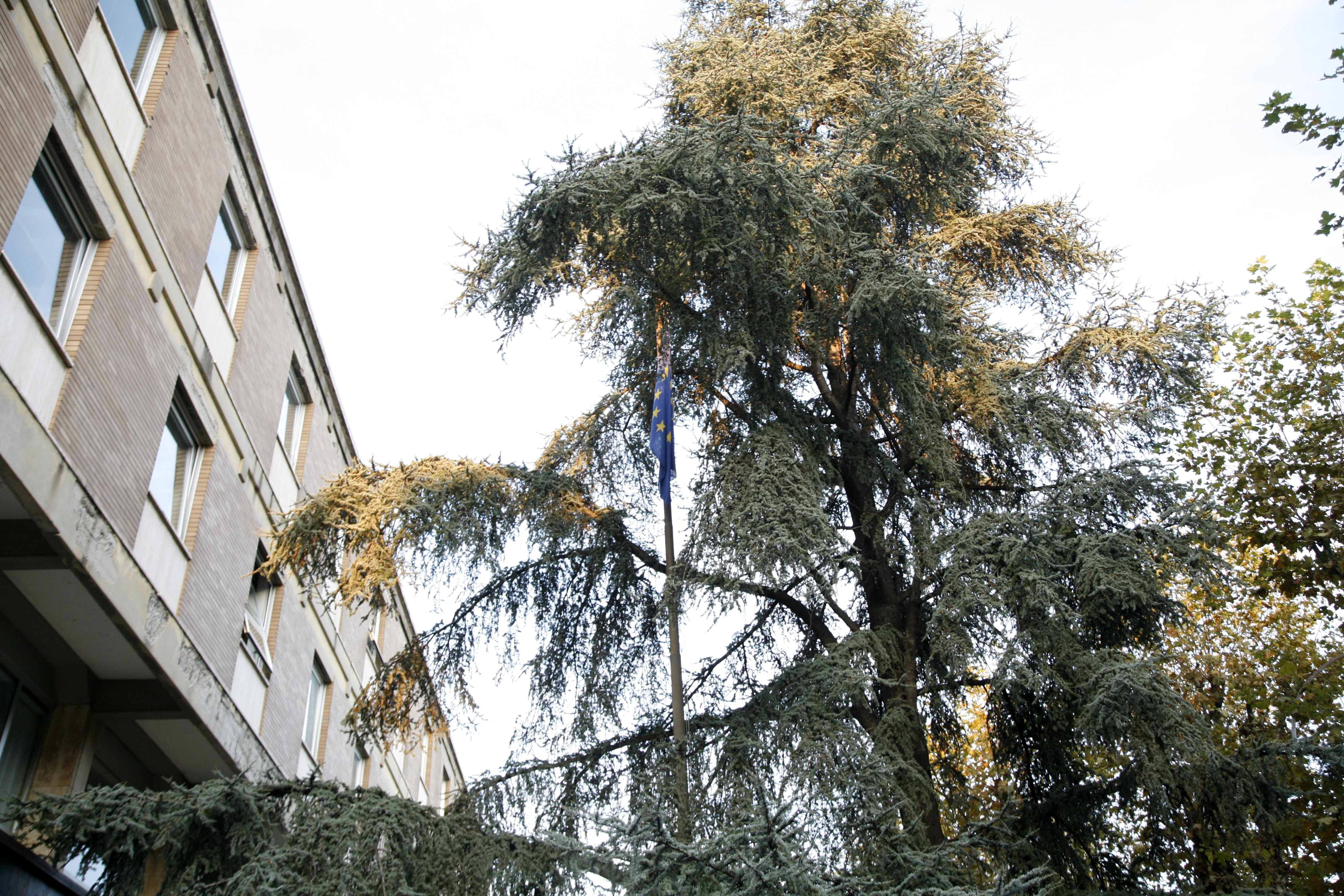 "Amministrare Viareggio fa paura"