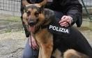 Droga nascosta nei bagni di scuola 