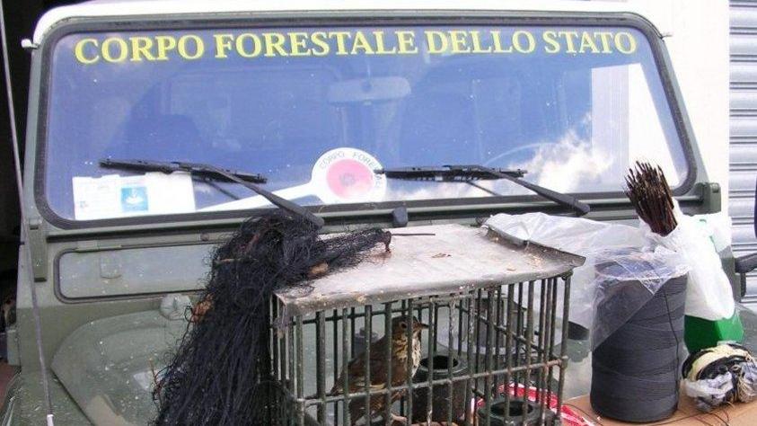 Denunciato bracconiere privo di licenza di caccia