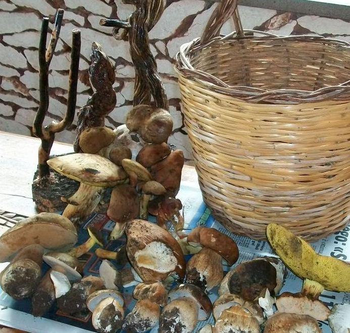 Peschiera di San Giovanni, domani lo sgombero forzato