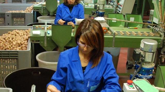 La sicurezza nei sugherifici, un seminario dello Spresal
