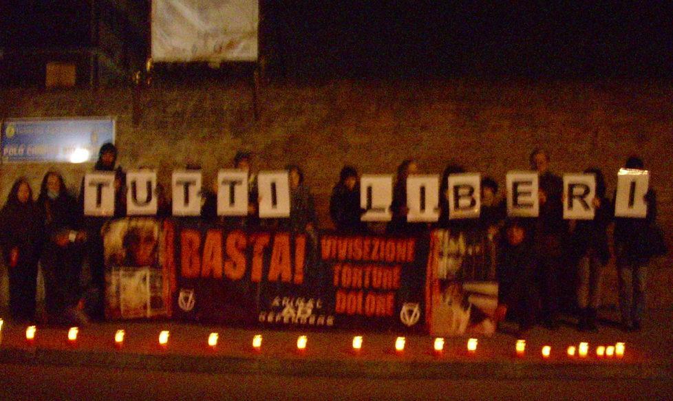 «L’Università liberi i macachi tenuti nei suoi laboratori»