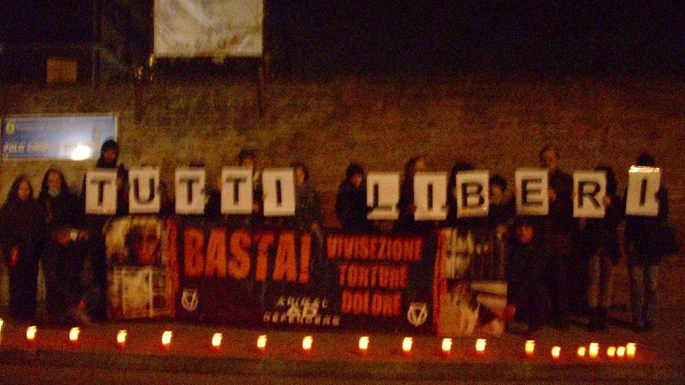 «L’Università liberi i macachi tenuti nei suoi laboratori»