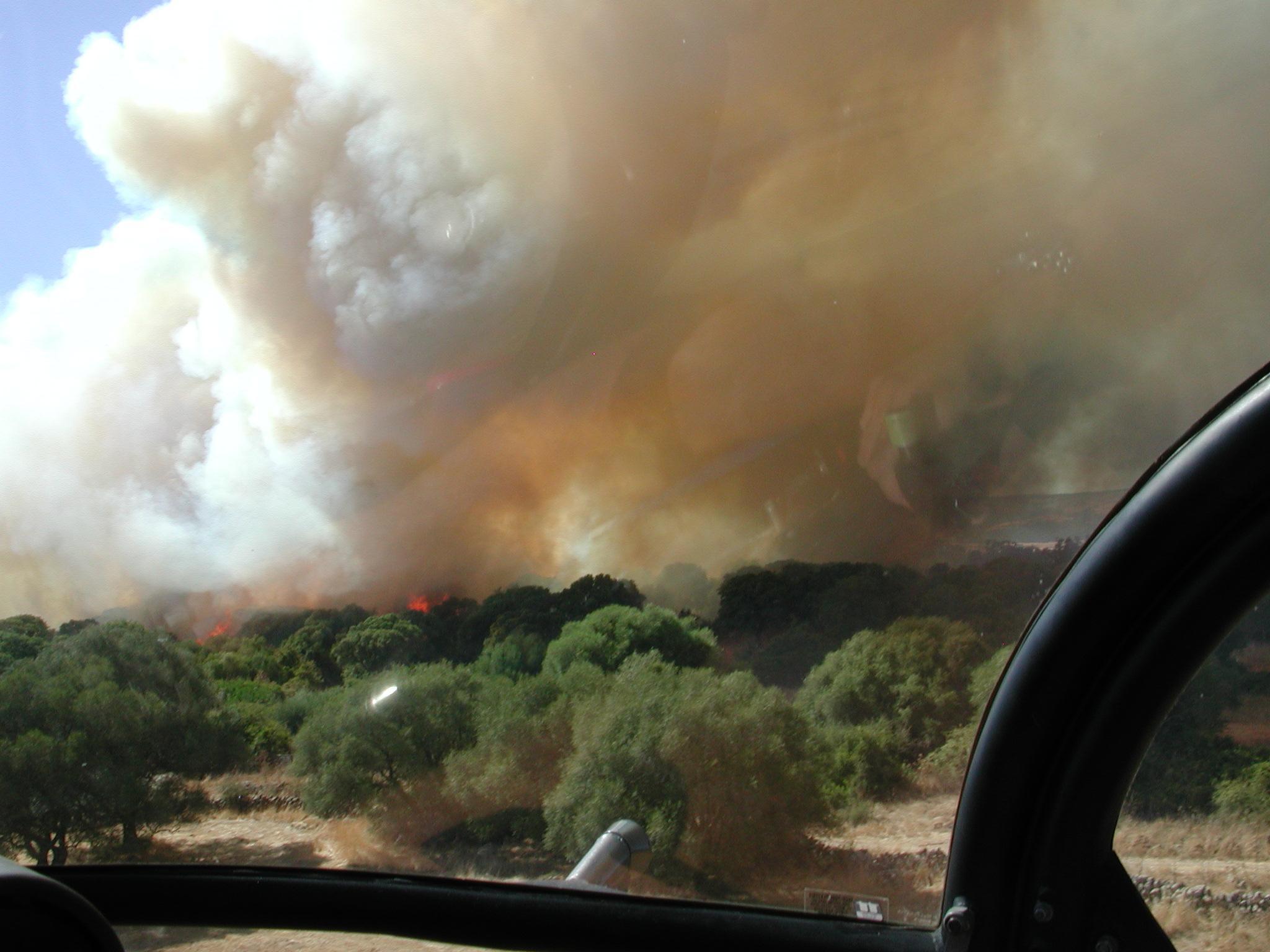 Uno degli incendi sui quali hanno indagato gli agenti del Corpo forestale