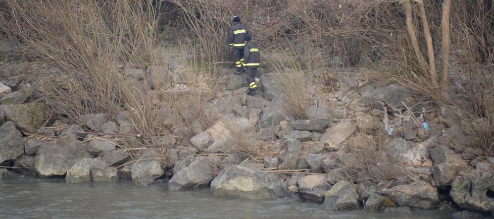 Lo vedono gettarsi in Arno, scattano le ricerche di un uomo