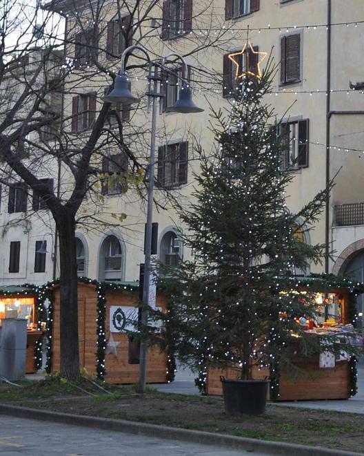 Ora la piazza della Palma si fa bella con l’albero 