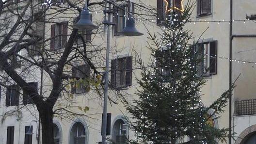 Ora la piazza della Palma si fa bella con l’albero