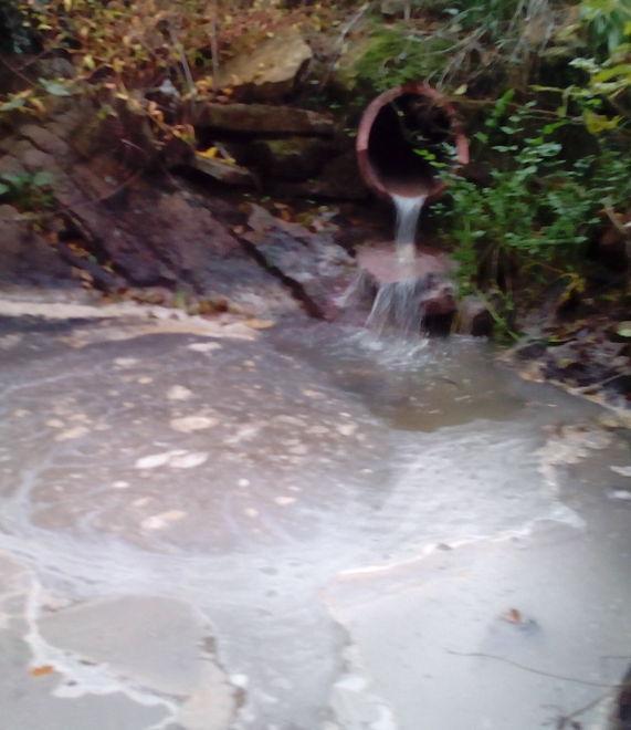 Un disastro ambientale sul fiume 