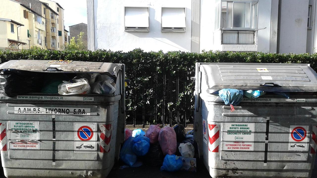 "Cassonetti pieni da 4 giorni e nessuno li svuota"