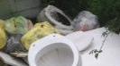 Allarme discariche a Massarosa
