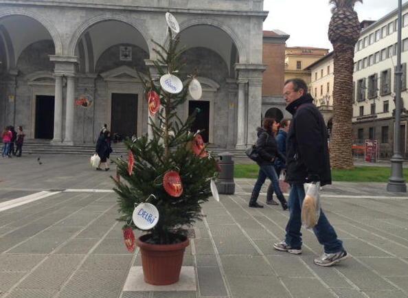 E gli attivisti M5S donano l’abete alla città 