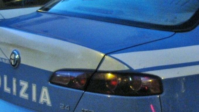 Ruba due scatole di gamberi, fermato e arrestato