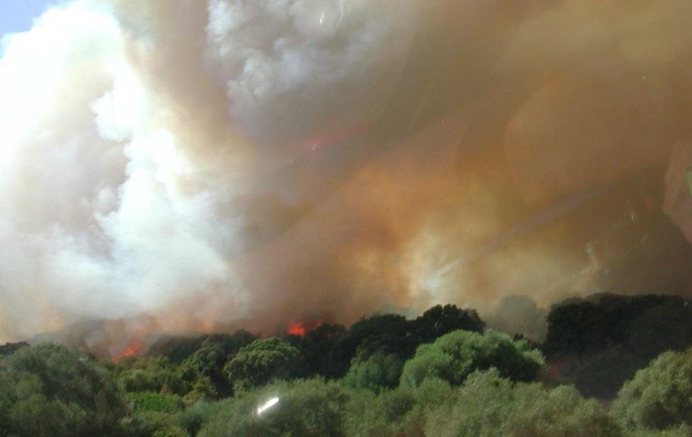 Un indagato e due denunciati per i roghi della scorsa estate